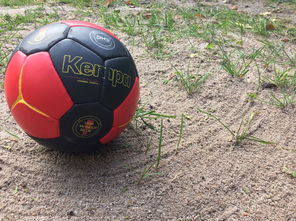 乐鱼体育官网优惠-全国老年人健身球操赛展银发激情，老年健身球类